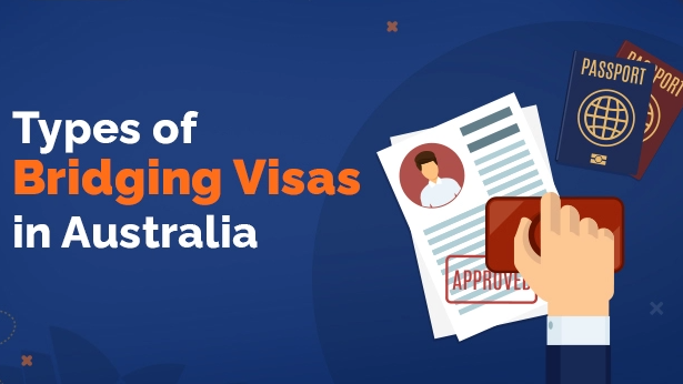 bridging visa types image thumbnail