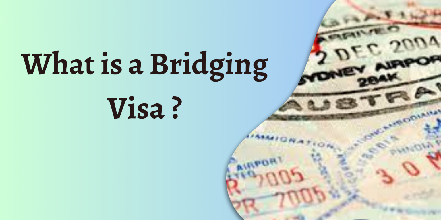 bridging visa c travel rights