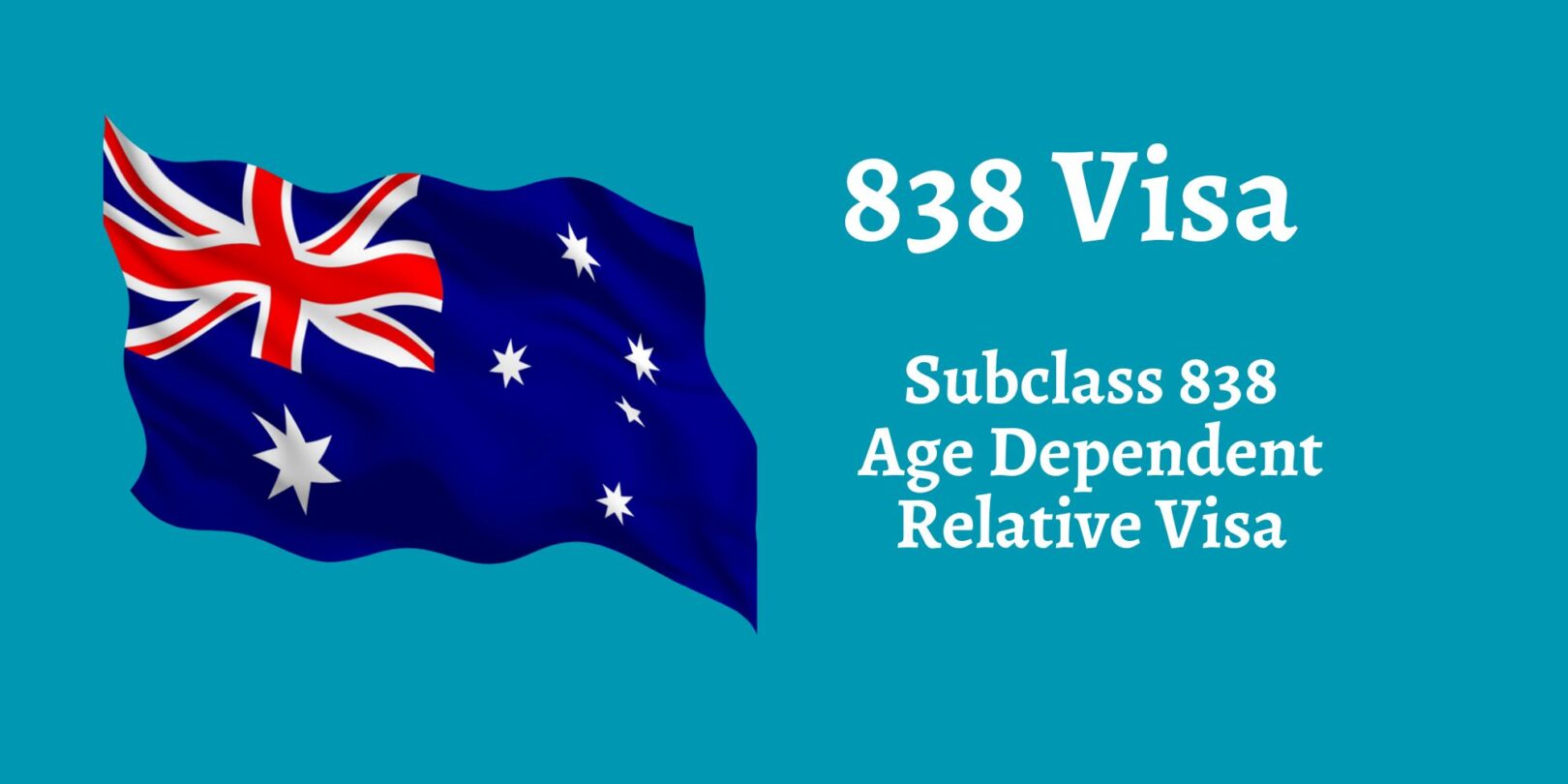 838 visa image thumbnail