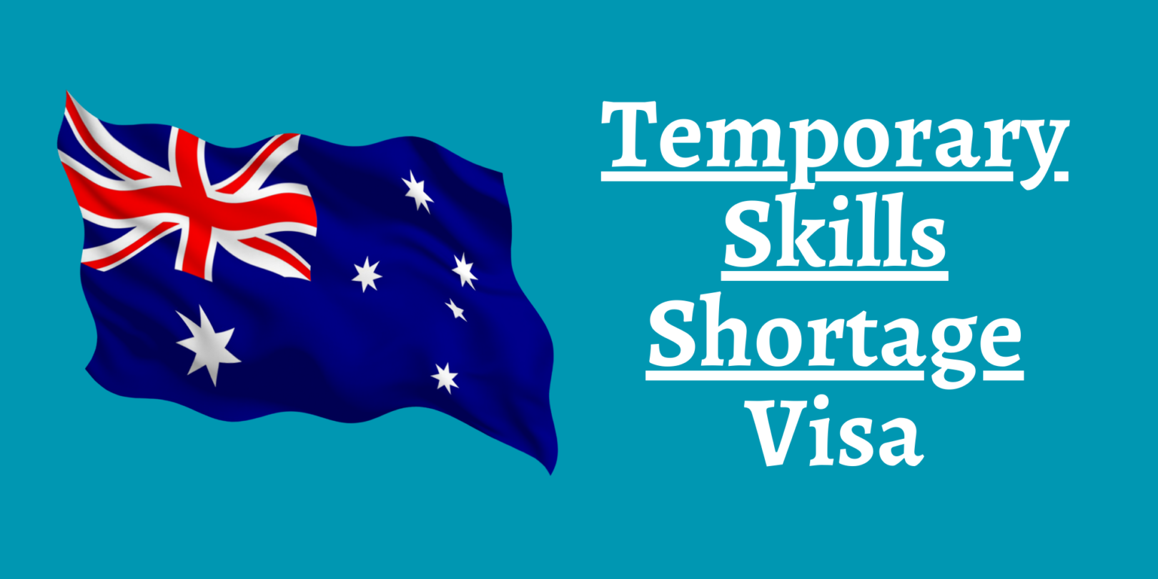 TSS 482 Visa image thumbnail
